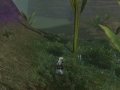 ffxiv_07062022_134043_038
