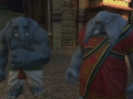 ffxiv_09062022_113702_853