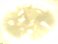 ffxiv_12042022_154415_324