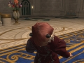 ffxiv_12062022_111833_697