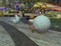 ffxiv_15042022_144832_478