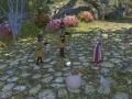 ffxiv_15042022_145006_022