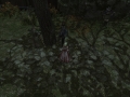 ffxiv_27012022_161329_772