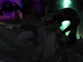 ffxiv_28012022_141538_477