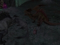 ffxiv_28012022_142510_254