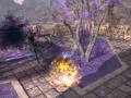 ffxiv_01062021_152939_680