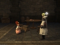 ffxiv_11082020_113959_004