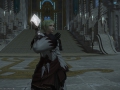 ffxiv_11082020_115040_895