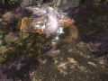 ffxiv_28062019_173118_003