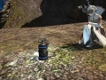 ffxiv_28052021_144344_825